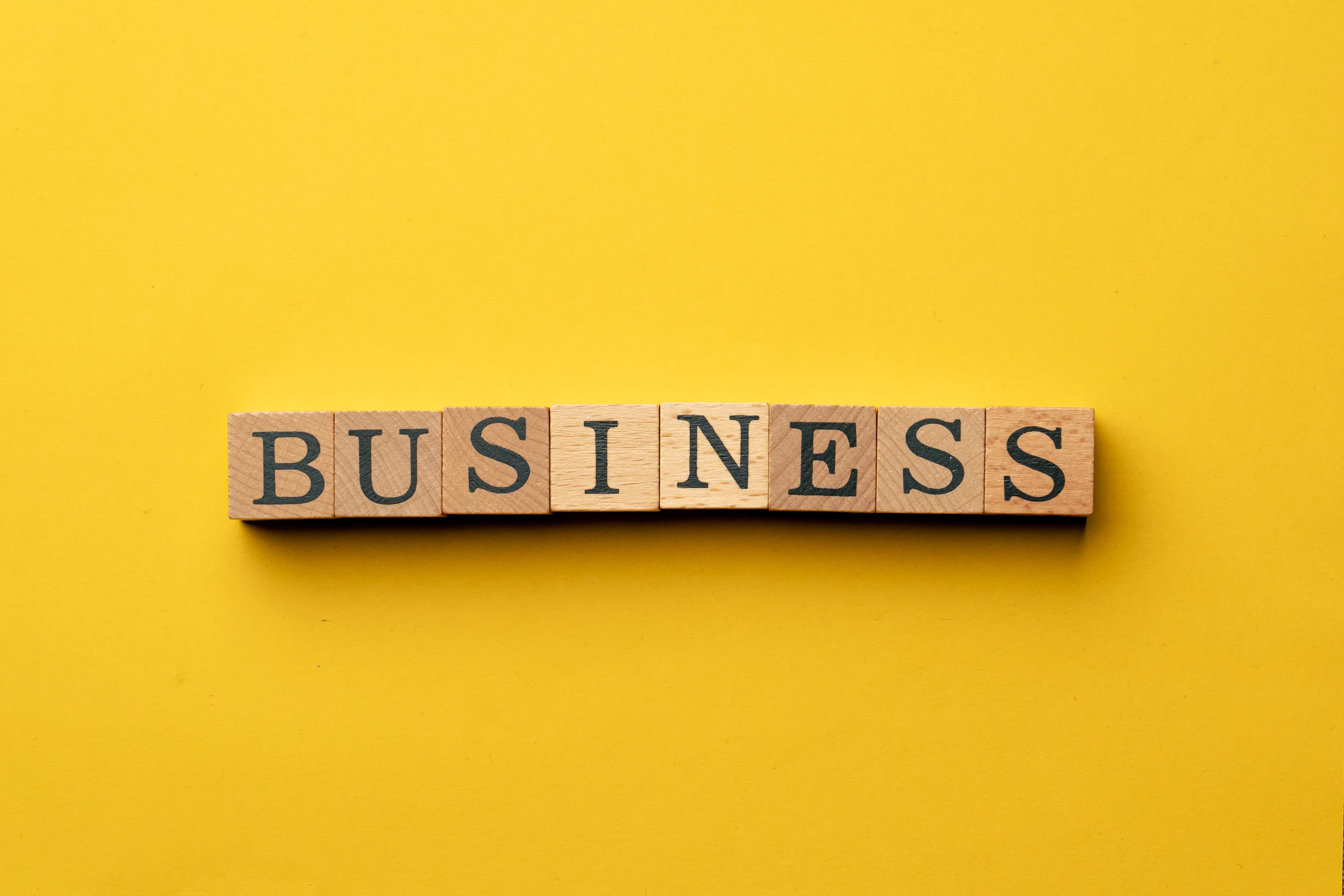 Business Name and Logo Suggestions